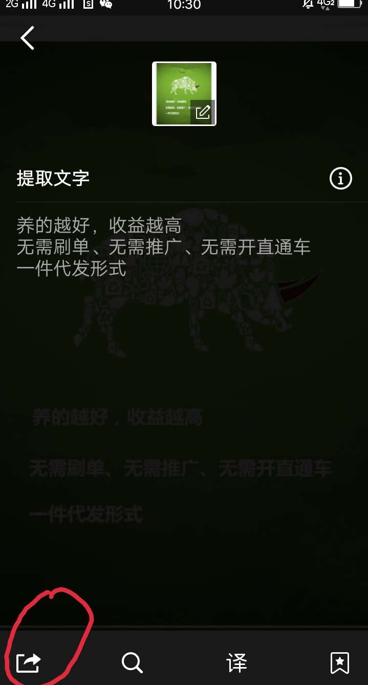 怎么复制QQ,手机qq怎么复制图片和文字