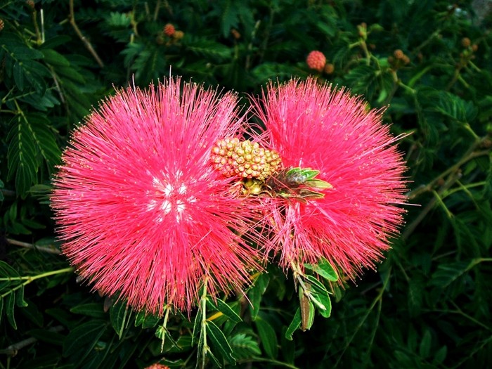 被嫉妒的人如何去应对呢,被别人嫉妒才是本事