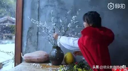 李子柒早期作品村姑女汉子形象,最美网红李子柒