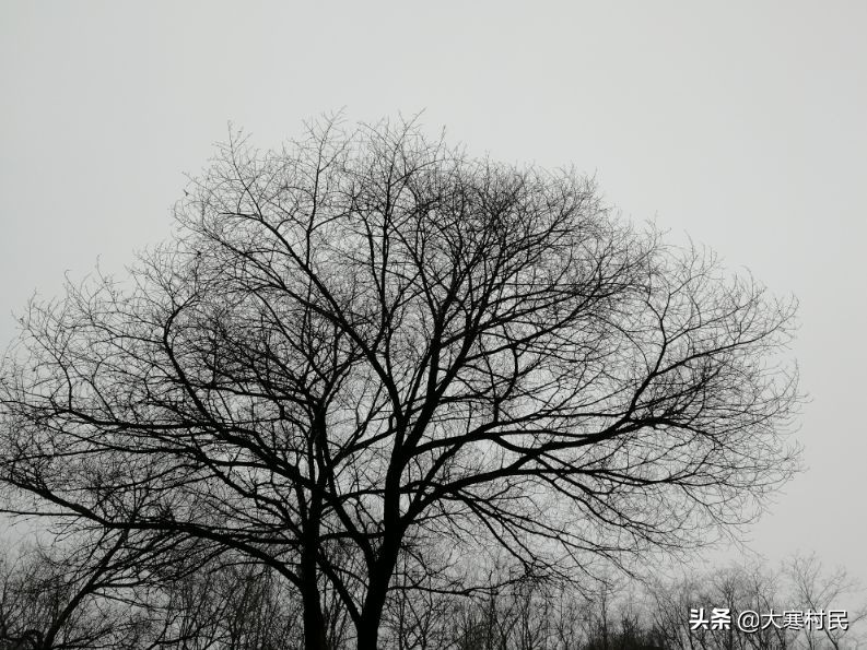 想象春天,想象中的春天