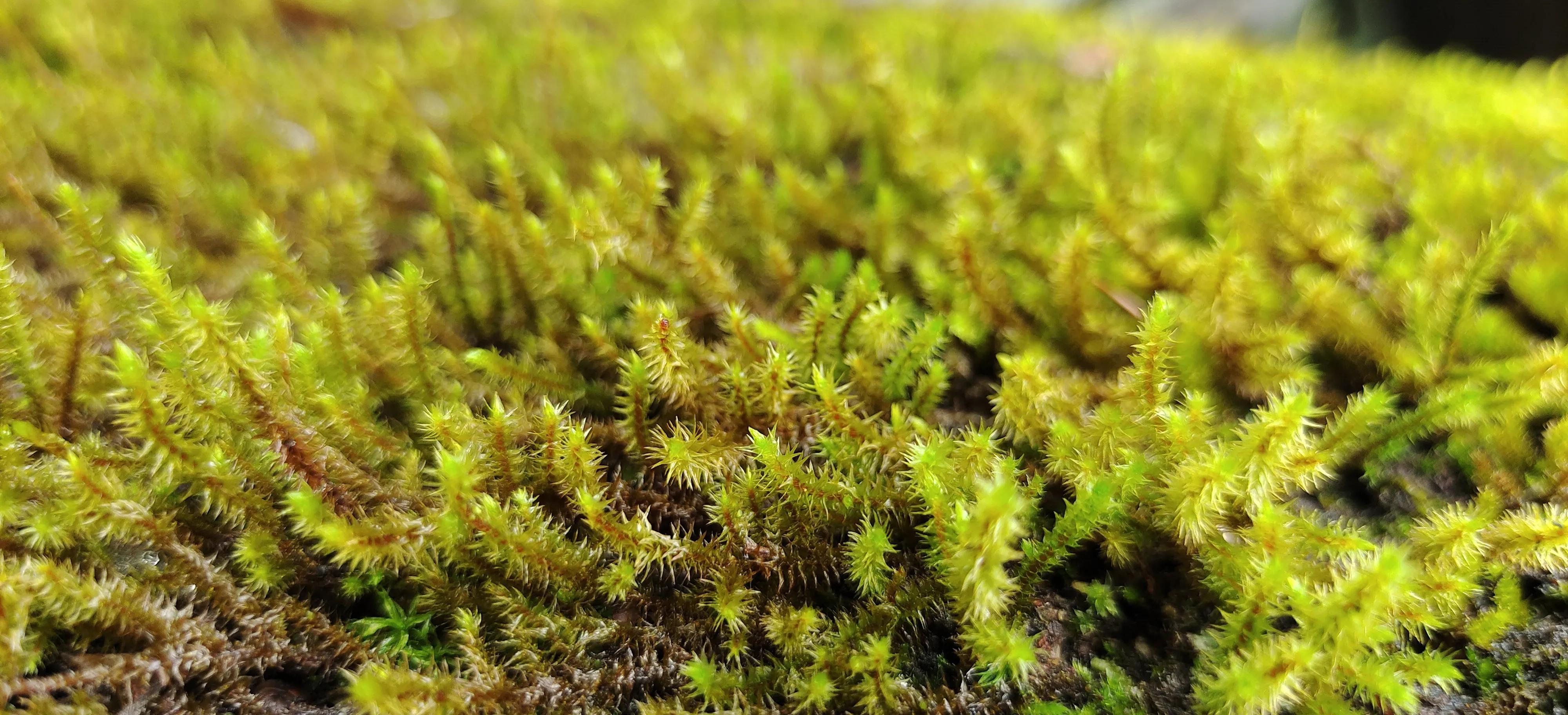 登上绝壁悬崖感受一览众山小,登上泰山之巅的感觉