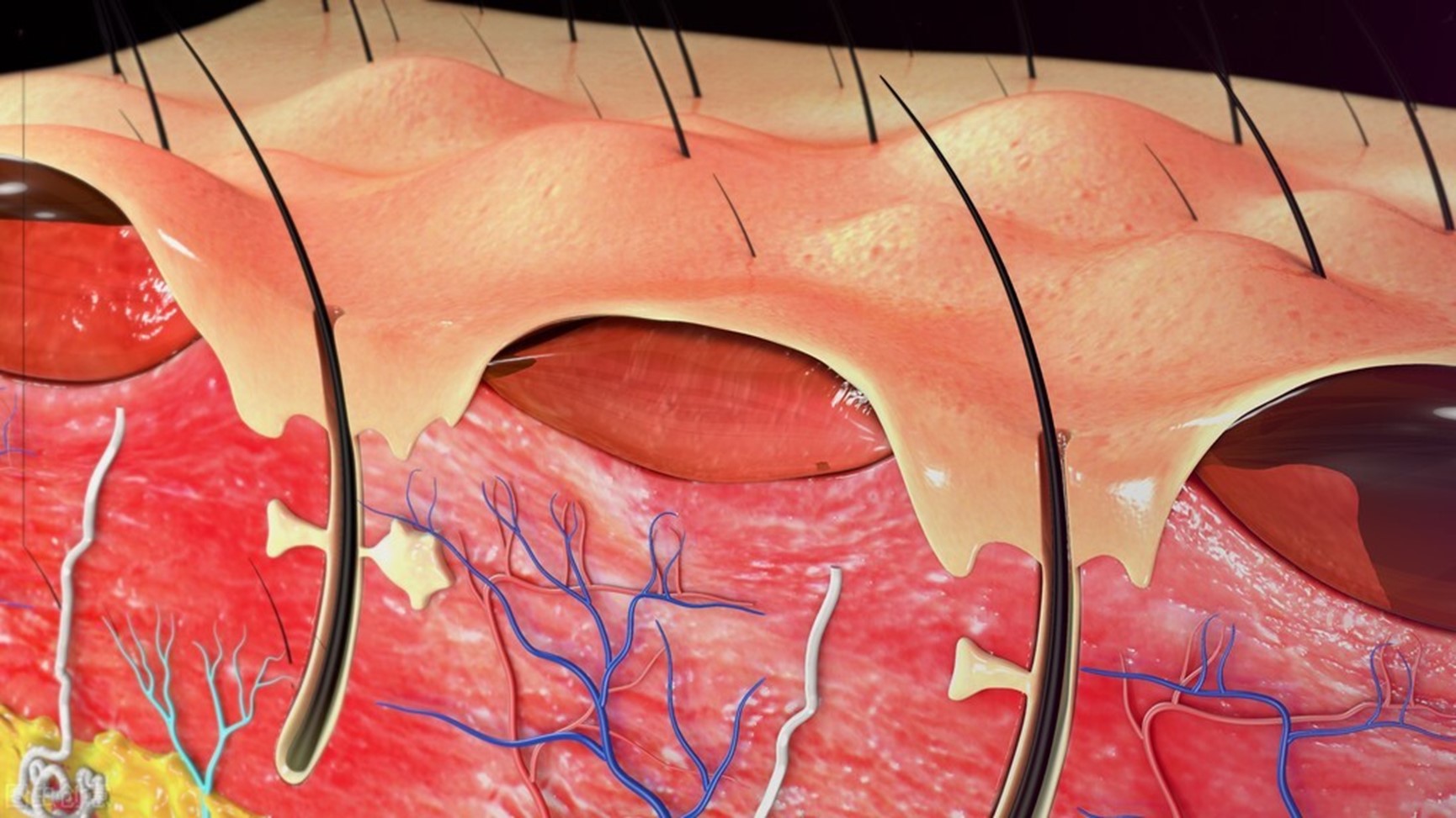预防儿童烫伤的十大注意事项,对儿童烫伤的急救原则