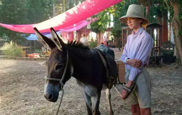 开播就飙到9分的电视剧,豆瓣9.4分日本神剧