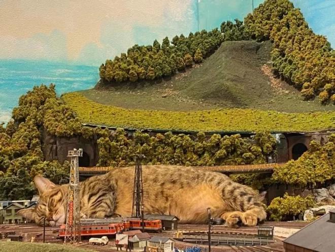 纪念吴孟达的外景视频,吴孟达纪念片完整版