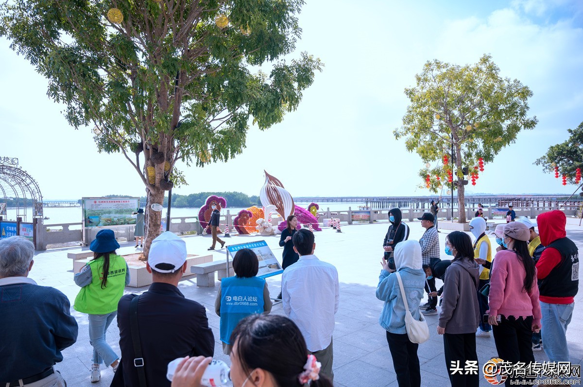 电白在崛起！——2021网络媒体看滨海（电白）采风活动