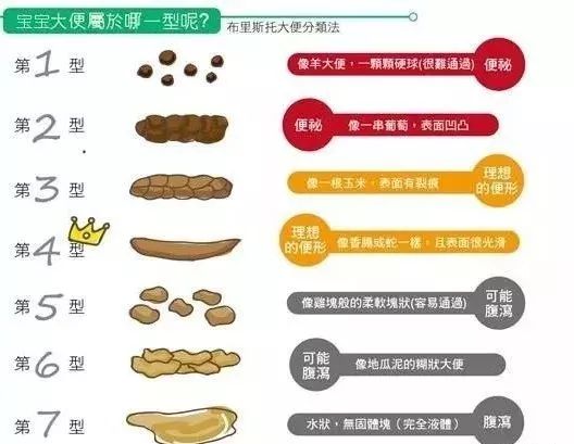 猫奴必看收藏级有关猫咪冷知识,猫咪一生的秘密猫奴必看