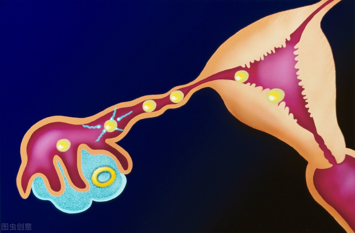 输卵管通而不畅要怎么做,输卵管通而不畅要怎么运动