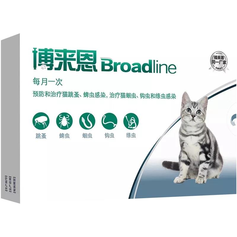 养猫一年要花多少钱,养猫一年下来多少开销