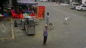 八旬老人被狗绳绊倒身亡如何避免,老人被狗绳绊倒是什么狗