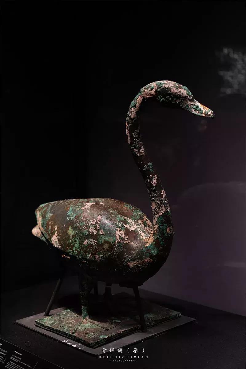 30张让人惊讶的历史震撼照片,展现中国陕西历史博物馆的微视频