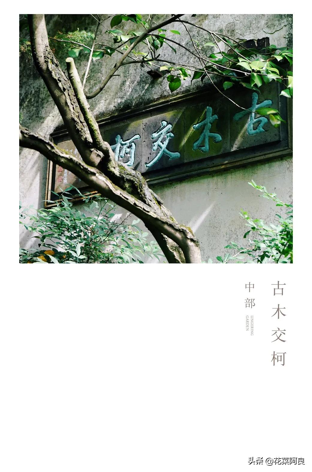 留园拙政园哪个景色好,留园和拙政园