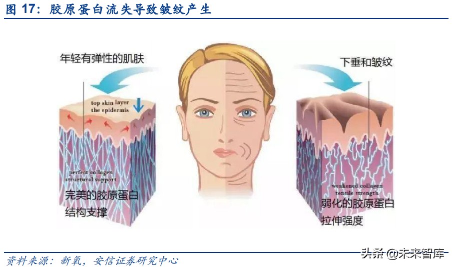 胶原蛋白是未来医美行业主赛道,胶原蛋白肽饮品行业报告