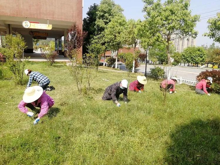 @亲爱的浠水思源学子：疫散花开，等你回来！