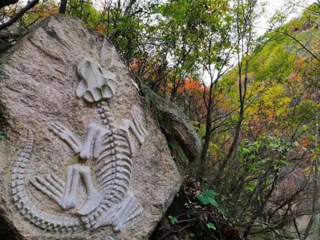 西泰山是什么样的,西泰山为啥叫西泰山