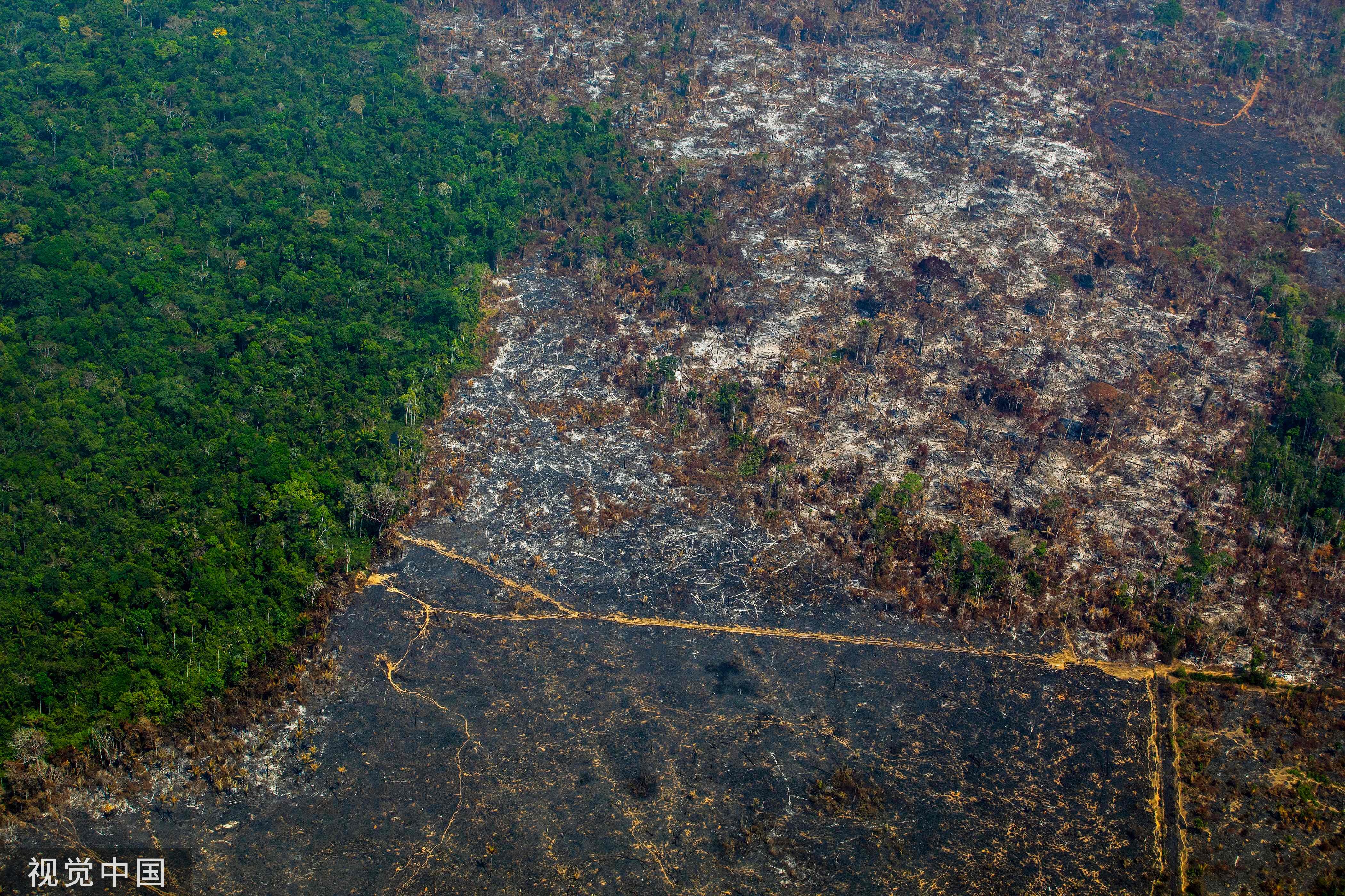 亚马逊大火灭了没,亚马孙大火辟谣