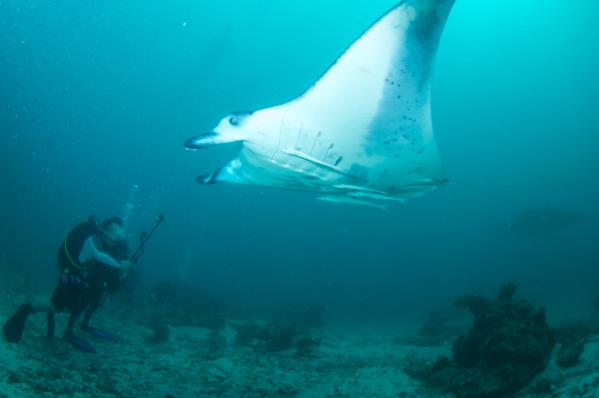 椹皵浠ｅか姘磋偤鑸瑰,椹皵浠ｅか姘磋偤娼滄按宀涘笨