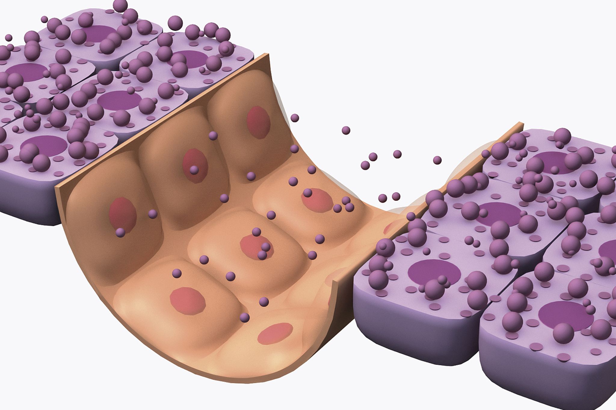 不吃晚餐的人身体会怎么样,长期不吃晚饭的人最后瘦了吗