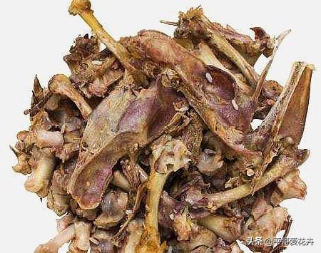 养花日常推荐植物盆栽,盆栽植物室内大号