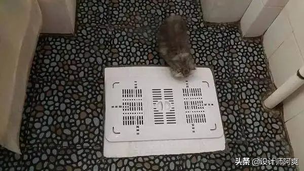 马桶和蹲厕哪个好,蹲厕好还是马桶好