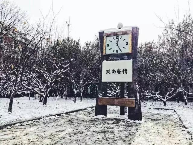 天津红桥高级中学,天津高级中学