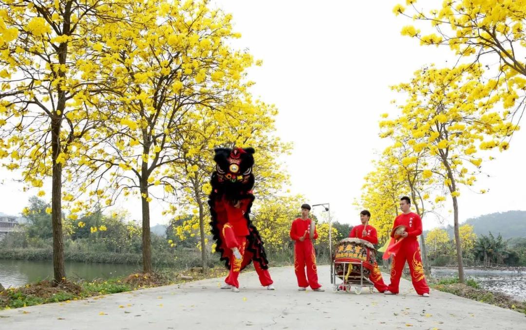 在大山深处幽静绝美的村落,深藏大山中的村落