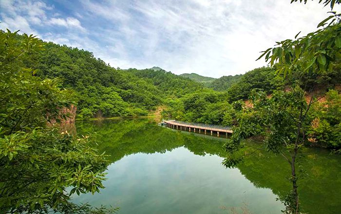 陕州区神泉中路金泉大酒店,陕州区神龙峡景区