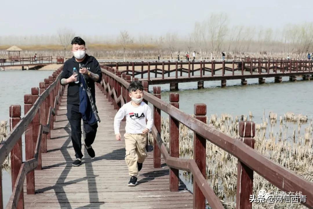 天津12座公园建成开放,2020天津已开放的郊野公园