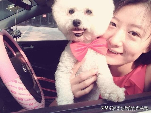 怀孕期间狗狗需要注意什么,孕妇能接触狗狗吗注意事项