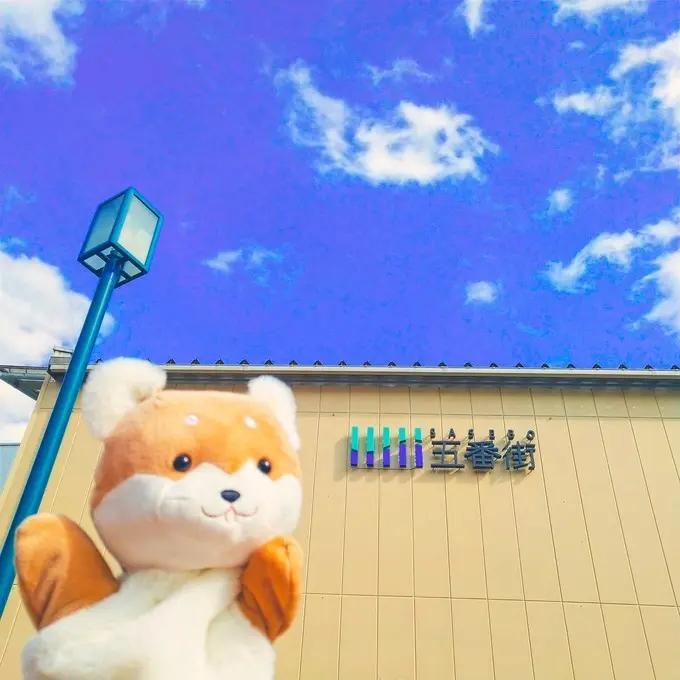 在邮轮上班要注意什么,没有疫情的时候我在做什么