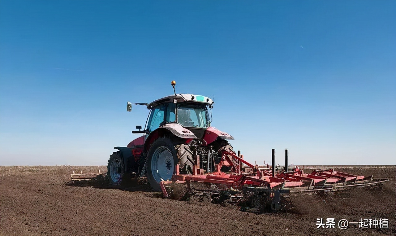 粉虱危害部位,粉虱的主要特征