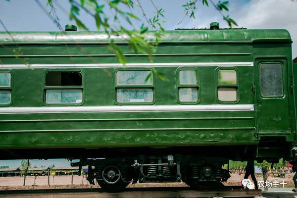 从沿街乞讨到身家亿万，“特养教父”32年的农业路堪称一部传奇史