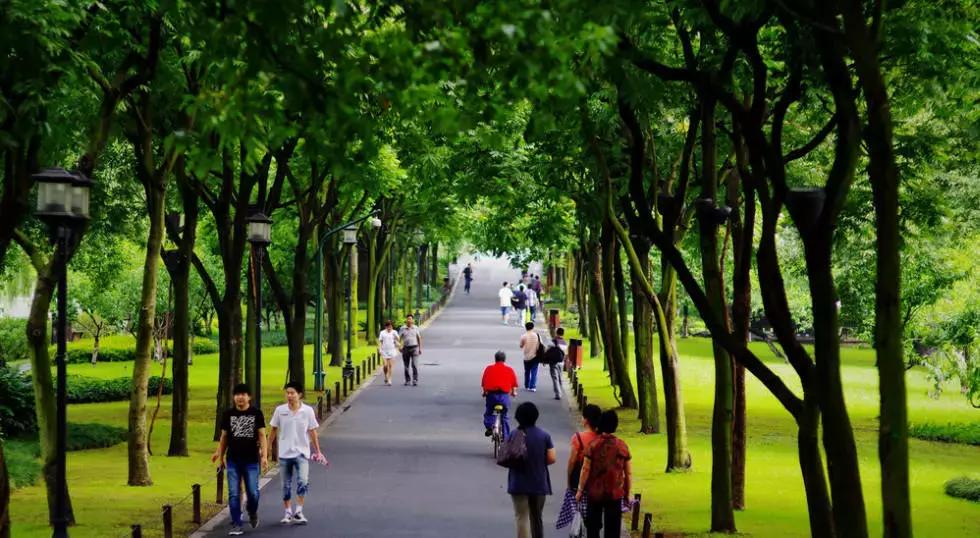 杭州攻略7大必去景点,杭州旅游攻略建议去和不建议去