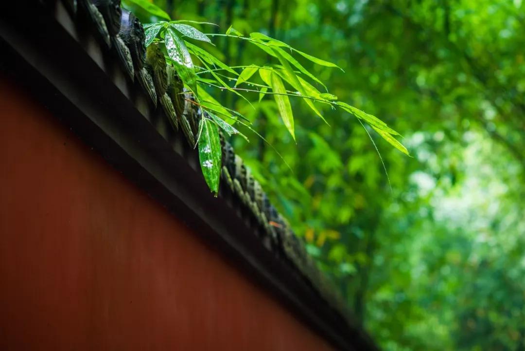 美到极致的淡雅诗句句子,经典微信签名诗句