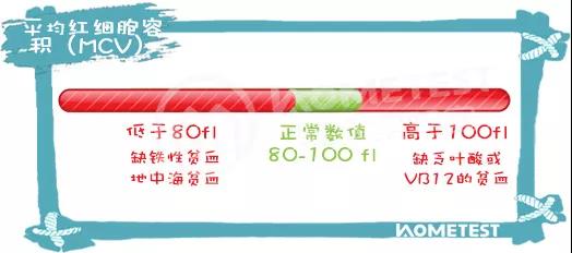 最新补铁剂,补铁剂中的铁元素检验