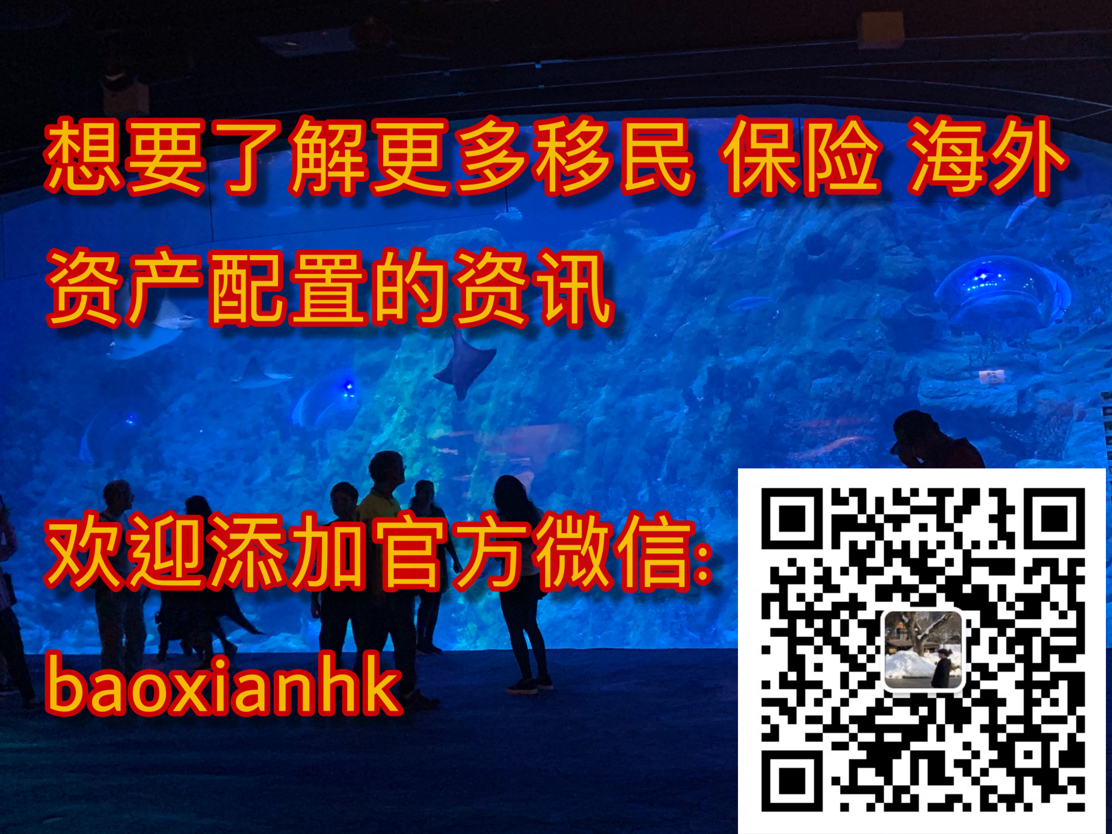 香港保险系列投保建议,香港儿童保险投保攻略