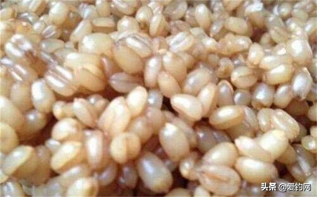 酒曲酵母窝料配方,甜酒曲发酵窝料制作方法