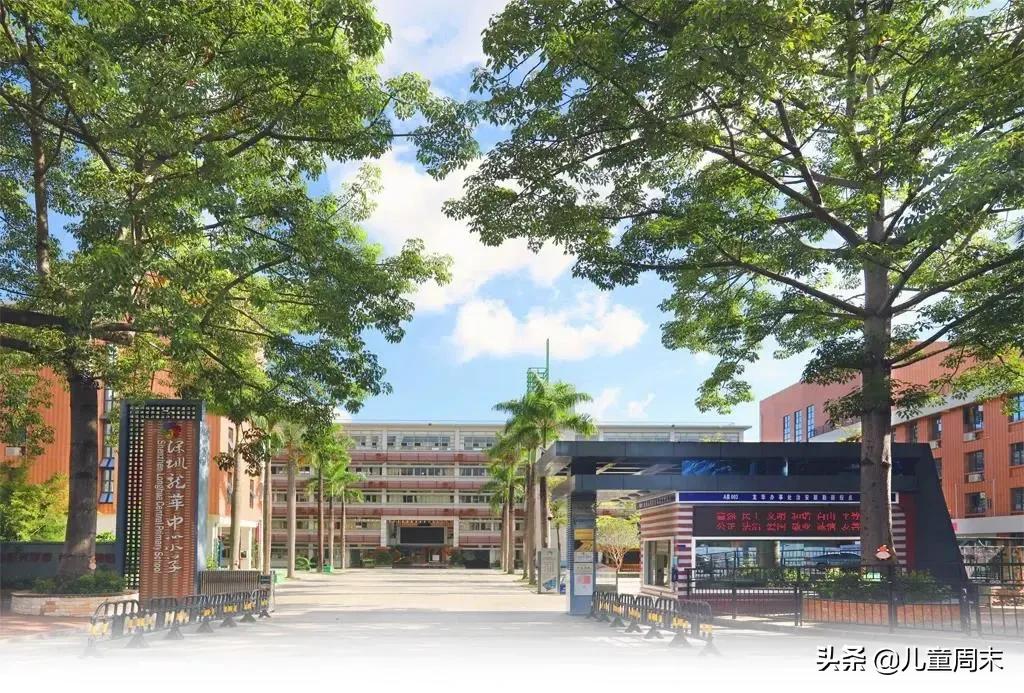 扒一扒深圳市知名小学,扒一扒深圳教育集团的老牌小学