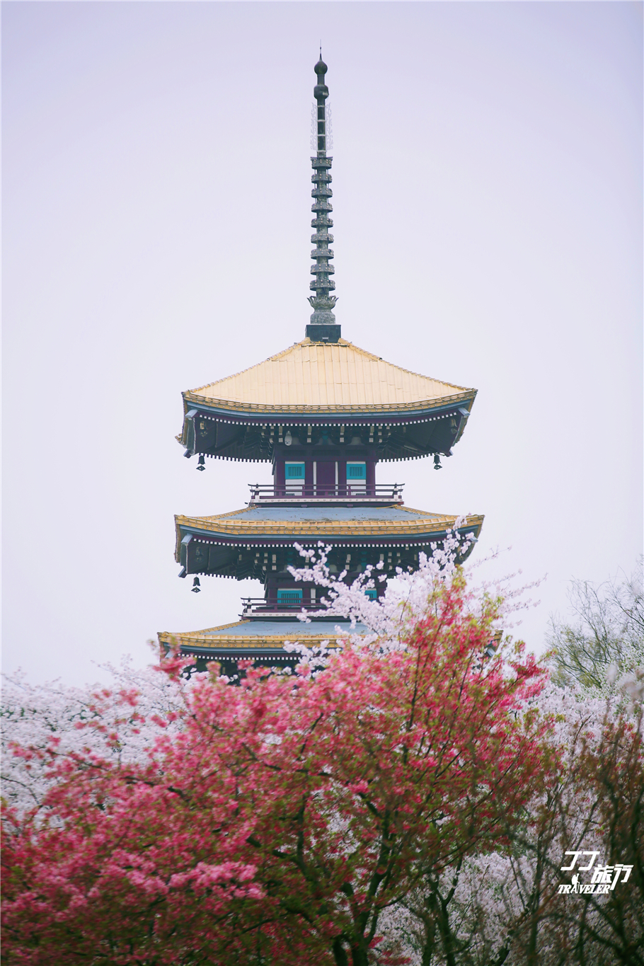 武汉东湖樱花园是世界几大樱花园,世界三大樱花园