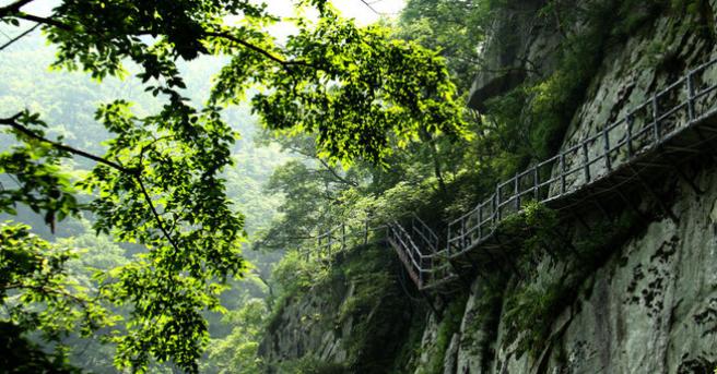 南阳宝天曼旅游景区照片,南阳宝曼天最美风景