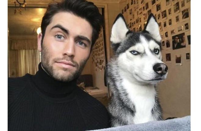 夏天哈士奇怎么降温,夏天如何给哈士奇避暑