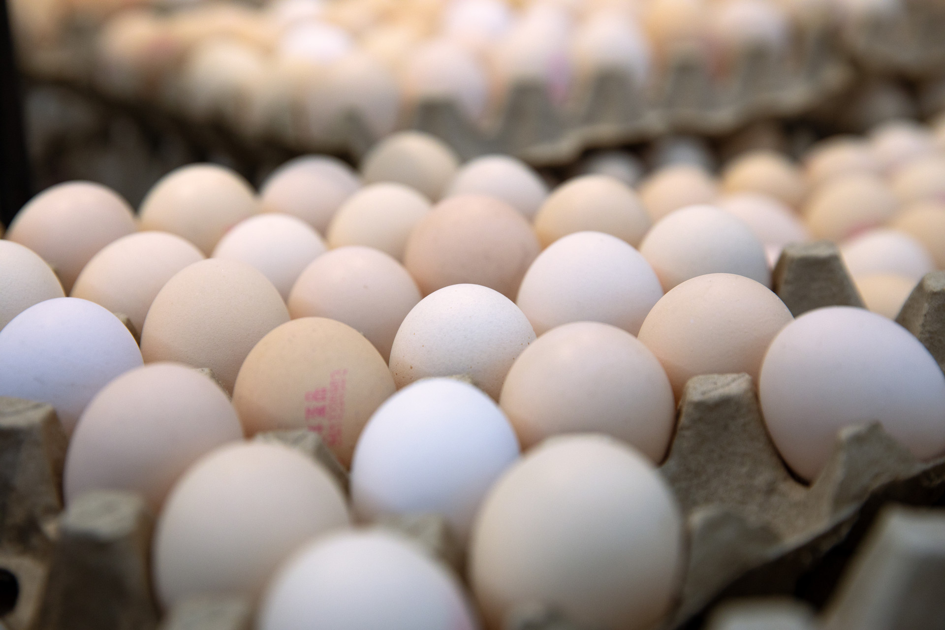 为什么月子里要少吃蛋,为什么月子里吃鸡蛋