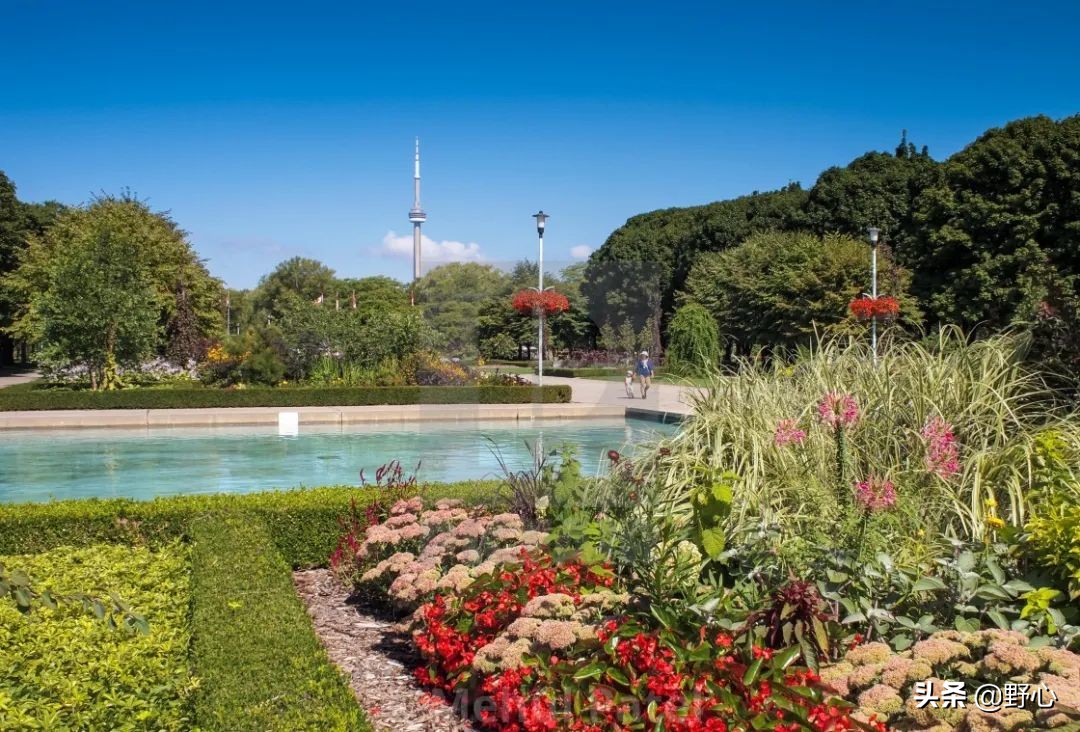 安大略到底有多迷人，能被这么多人列入愿望清单