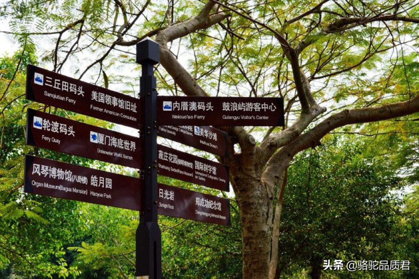 厦门海边之旅,厦门小众旅游体验