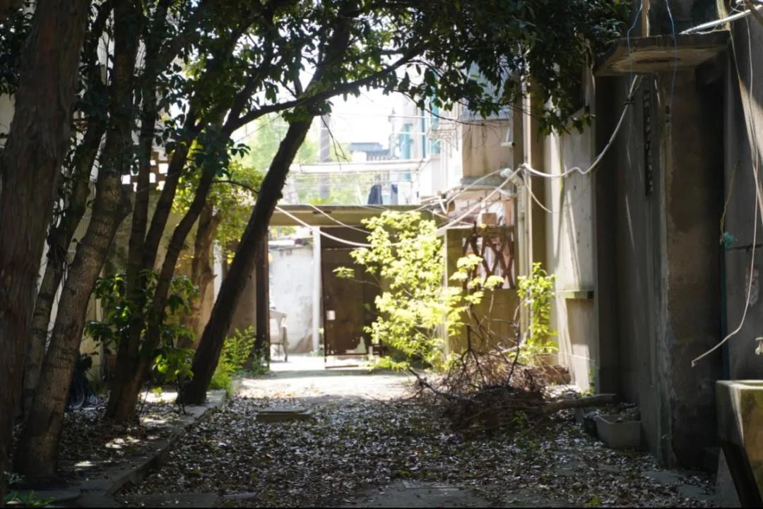 新三宅、G60江南文化季、艺术中心、体育中心，泗泾镇一大波文化项目剧透来了