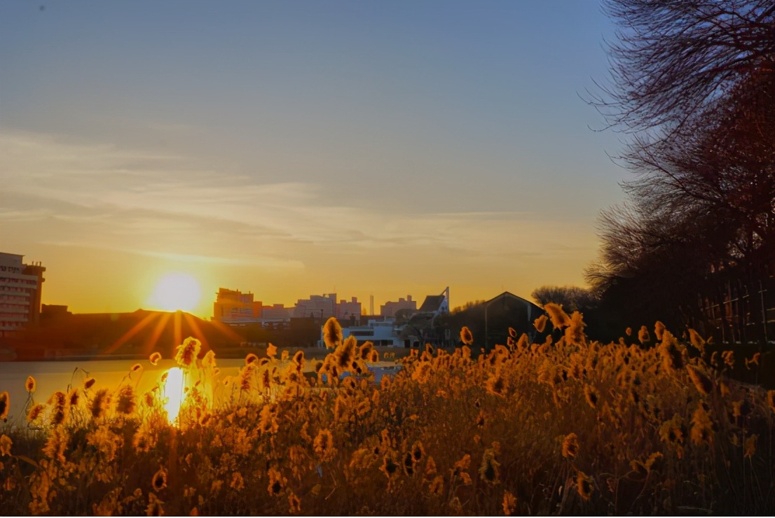 热议！天津大学究竟有多好？官方回应：就14个字！