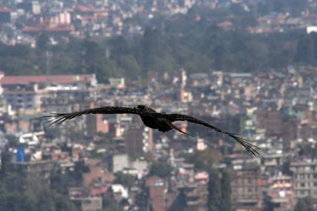 尼泊尔幸福指数最高国家,尼泊尔周边国家有哪些