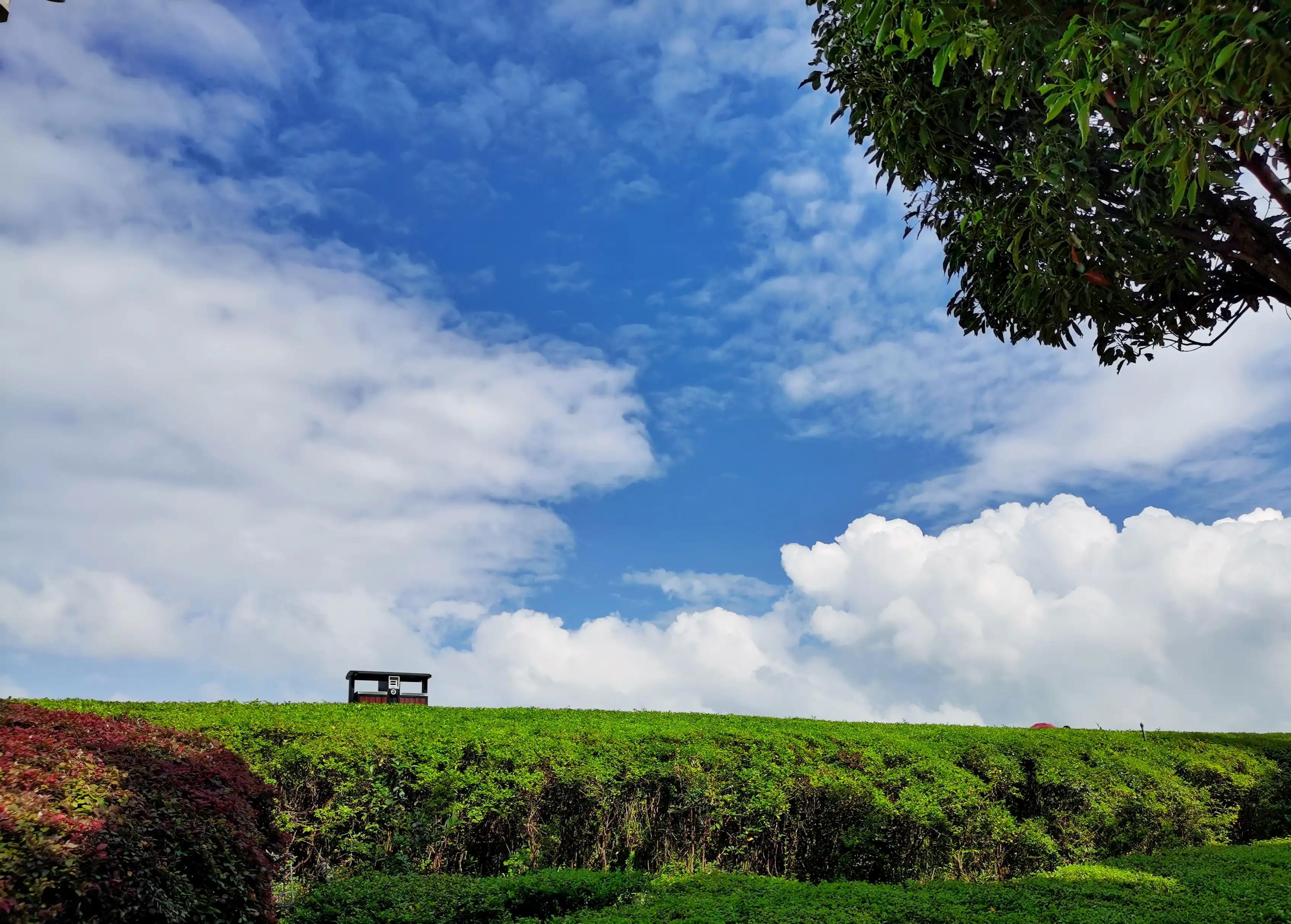 昆明这个景区究竟好在哪,昆明值得去的风景区推荐