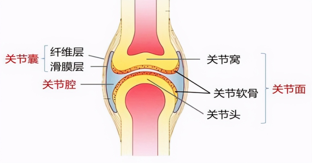 全身关节一动就响是风湿吗,50多岁身上关节咔咔响是什么毛病