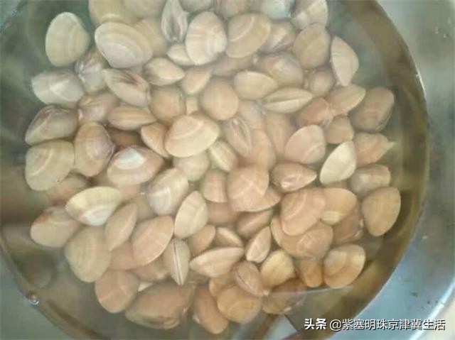 海边可以赶海吃住玩一体的农家院,秦皇岛黄金海岸牧海农家院