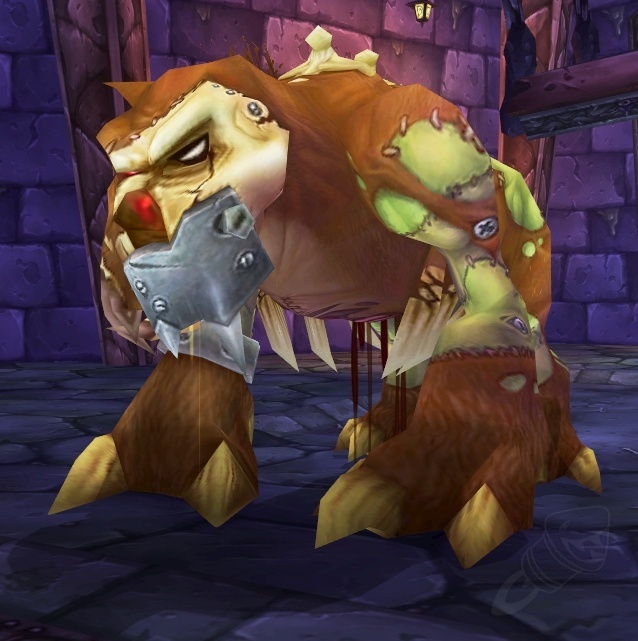 魔兽世界新版本优惠,魔兽世界更新增加了什么物品